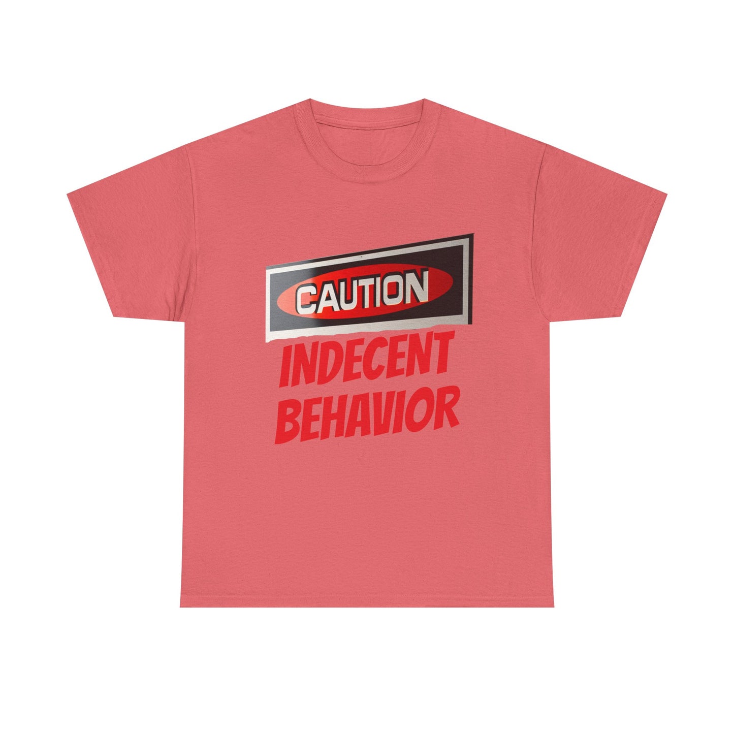 Caution Indecent Behavior Tee, Funny Graphic T-Shirt, Unisex Humor Shirt, Unique Gift, Casual Wear, Streetwear Fashion