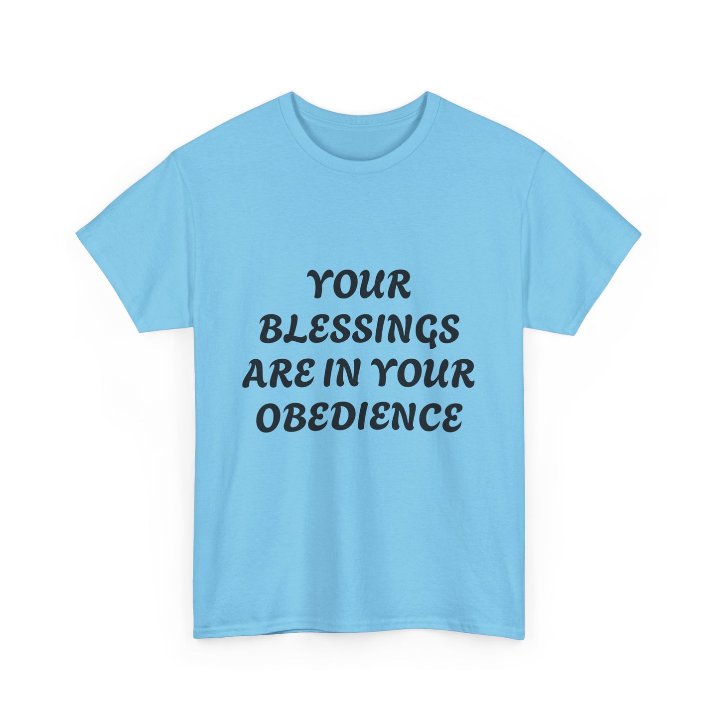 Front and back Obey start listening