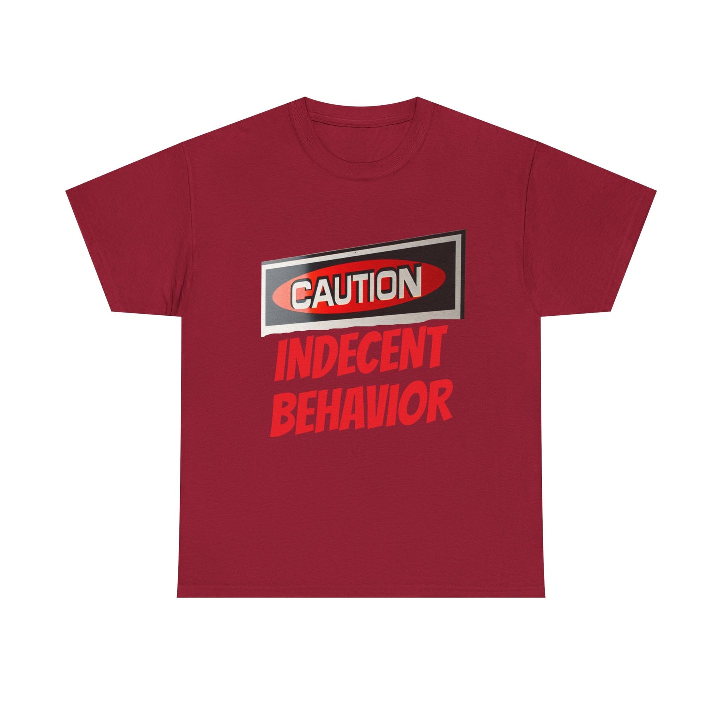 Caution Indecent Behavior Tee, Funny Graphic T-Shirt, Unisex Humor Shirt, Unique Gift, Casual Wear, Streetwear Fashion