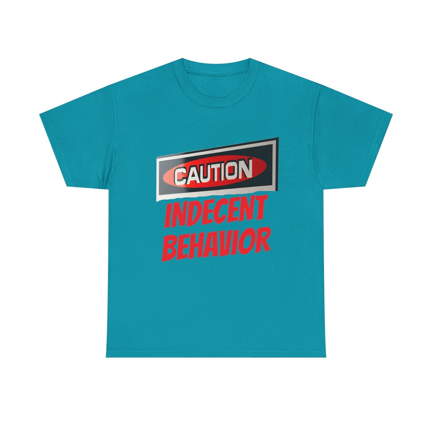 Caution Indecent Behavior Tee, Funny Graphic T-Shirt, Unisex Humor Shirt, Unique Gift, Casual Wear, Streetwear Fashion