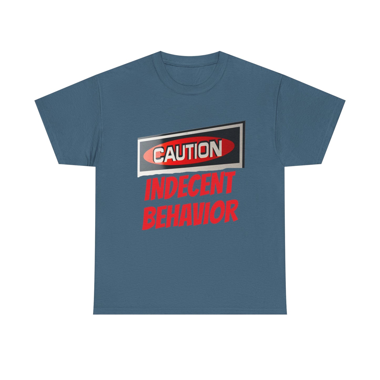 Caution Indecent Behavior Tee, Funny Graphic T-Shirt, Unisex Humor Shirt, Unique Gift, Casual Wear, Streetwear Fashion